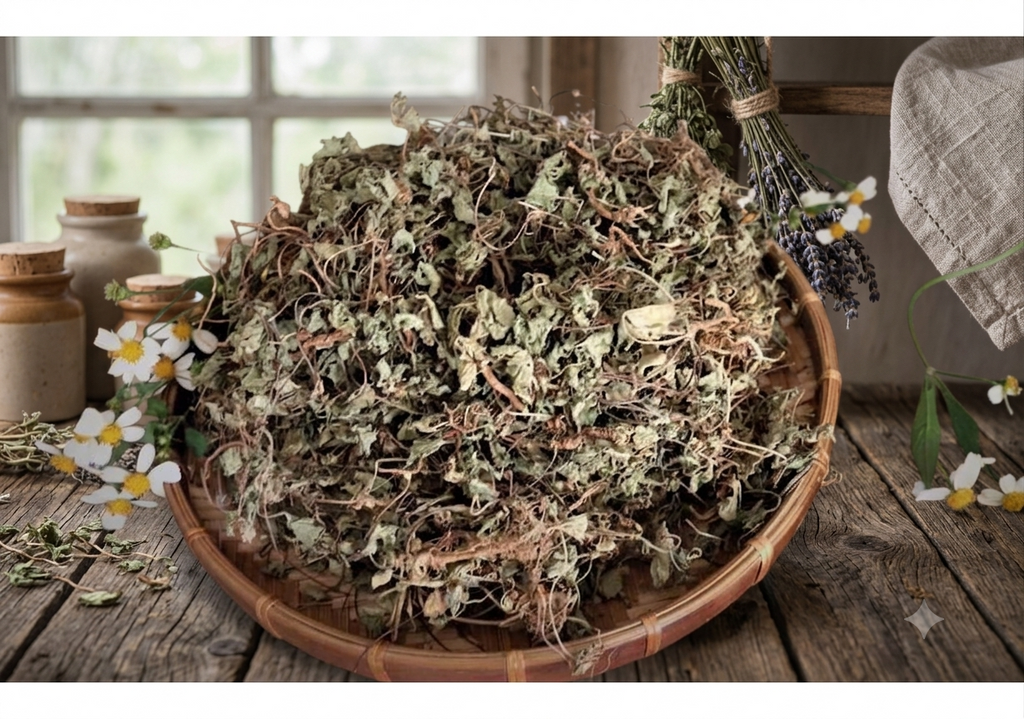 Gotu kola Herbal Loose Tea