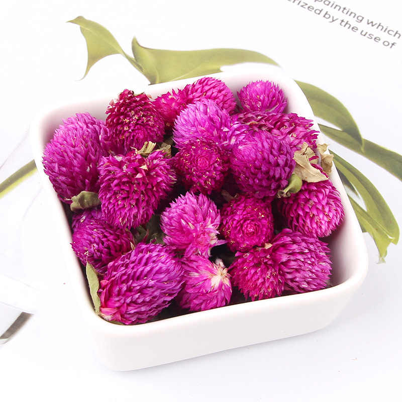 Gomphrena Purple Flower Tea